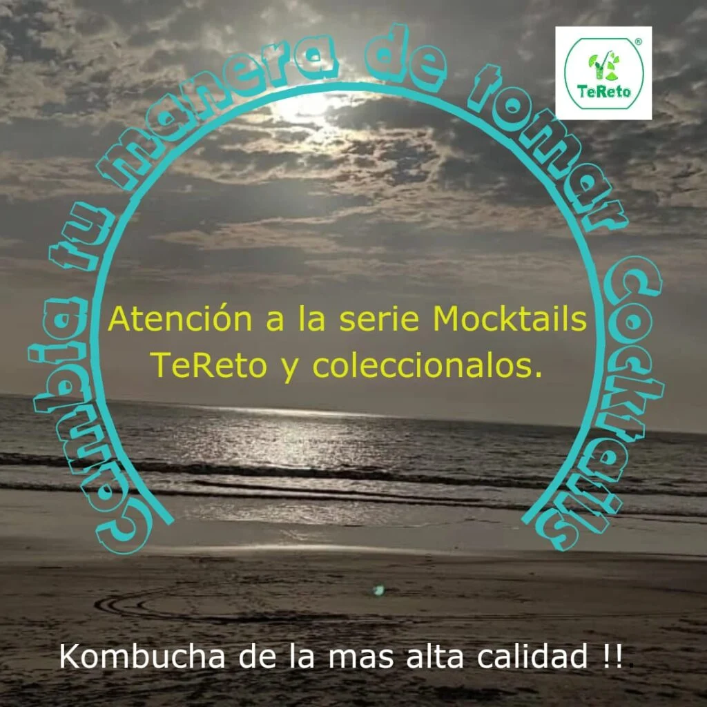 Atención a la serie Mocktails TeReto y colecciónalos. Cambia tu manera de tomar cocktails. Kombucha de la más alta calidad