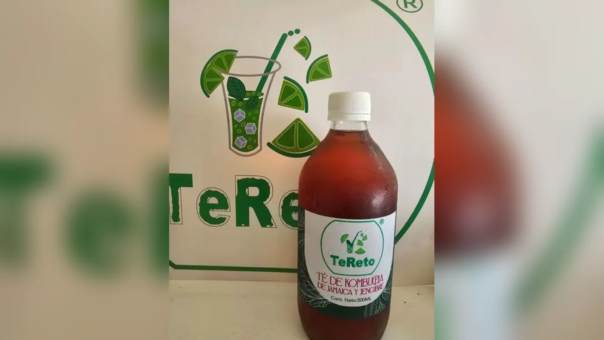 Botella de Kombucha de Rosa de Jamaica y Jengibre TeReto de 500 ml