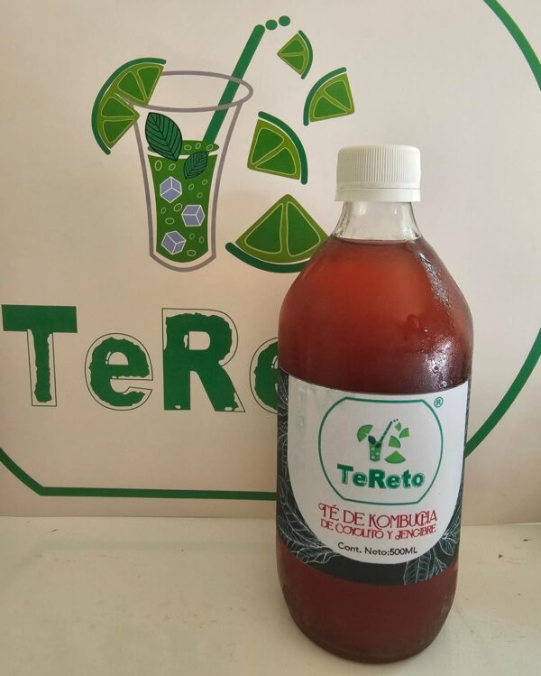 Kombucha de Coyolito y Jengibre 500ml - Imagen 3
