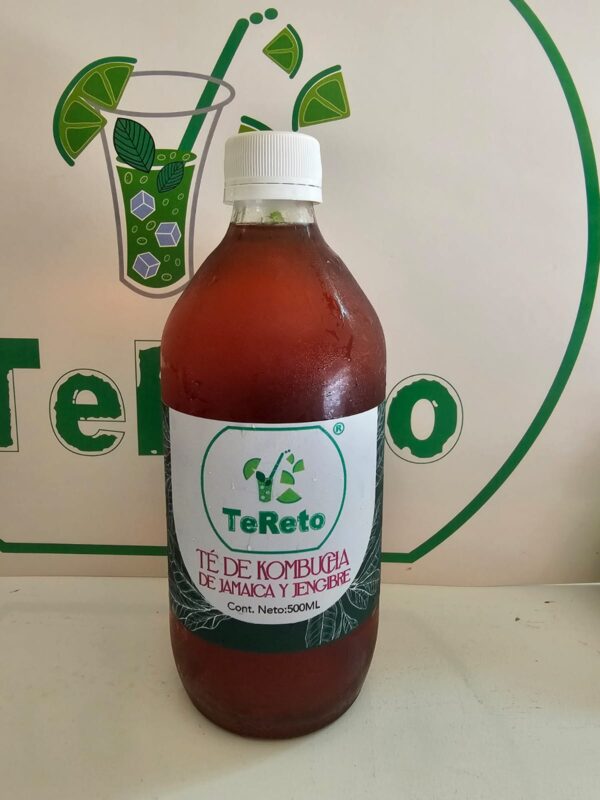 Rosa de Jamaica y Jengibre 500ml - Imagen 3