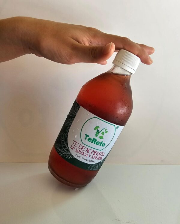 Rosa de Jamaica y Jengibre 500ml - Imagen 4